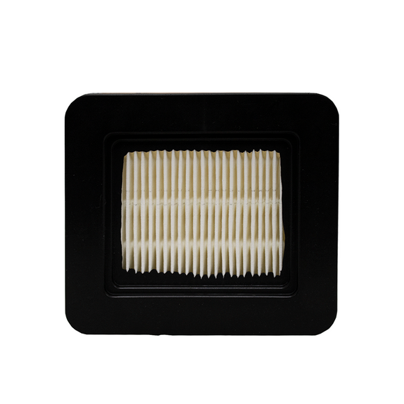Filtro De Aire Compatible Desmalezadora 545
