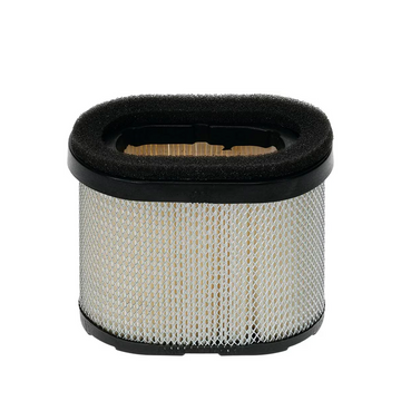 Filtro de Aire Stens Compatible con Briggs & Stratton 697029