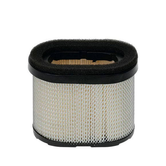 Filtro de Aire Stens Compatible con Briggs & Stratton 697029