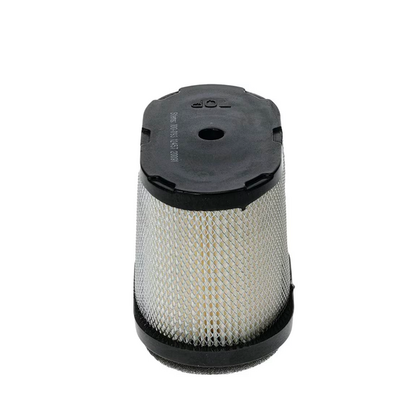Filtro de Aire Stens Compatible con Briggs & Stratton 697029