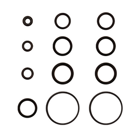 Set O Ring Hidrolavadora