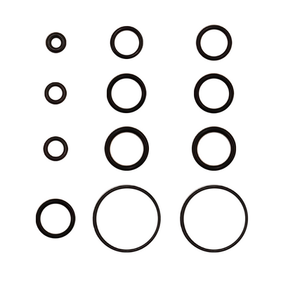 Set O Ring Hidrolavadora