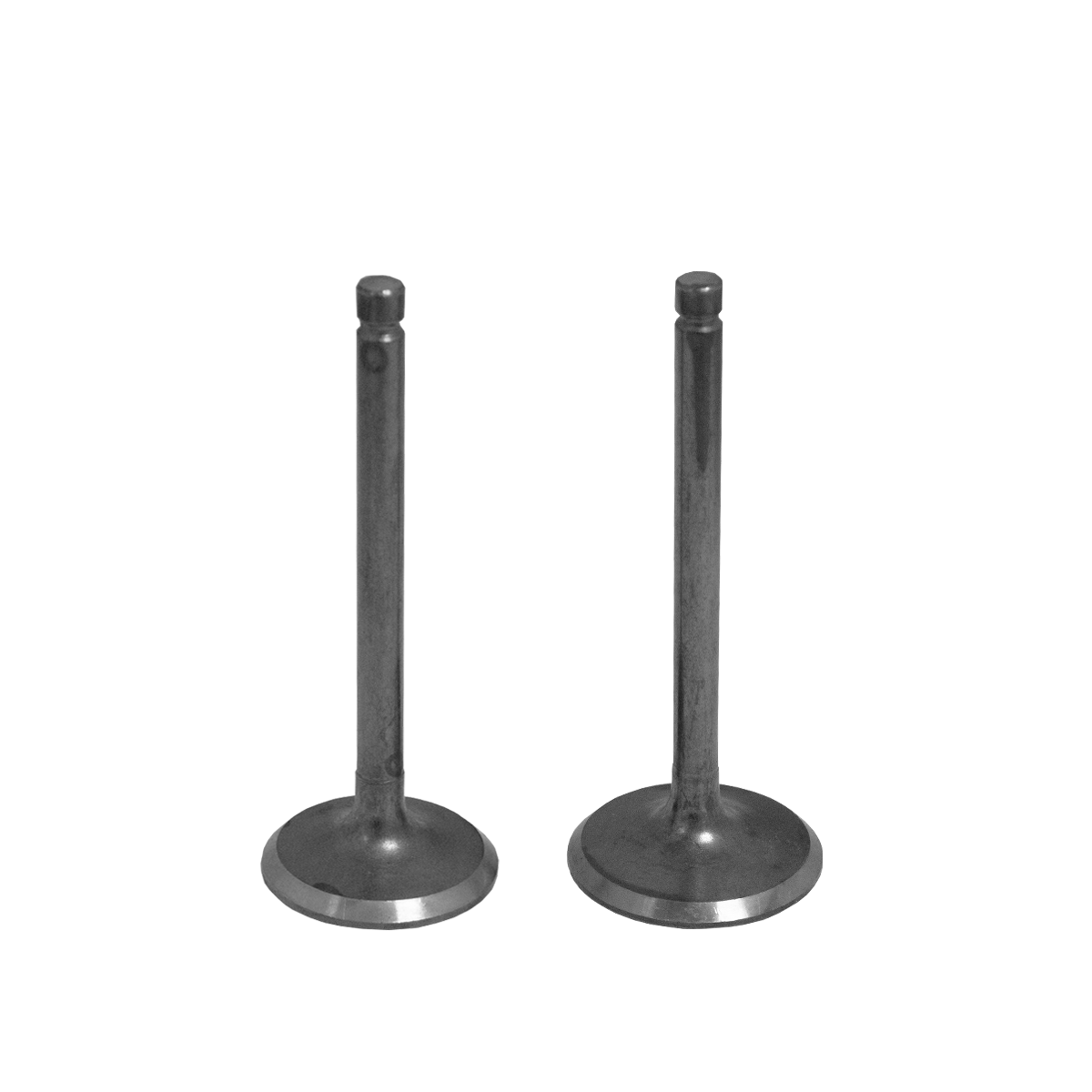 Valvula Admision Y Escape Para Motor 195F
