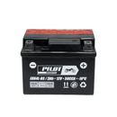 Bateria Pilot EBX4L-BS-2