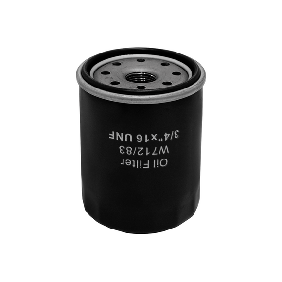 Filtro De Aceite Tractor Cortacesped 491056S